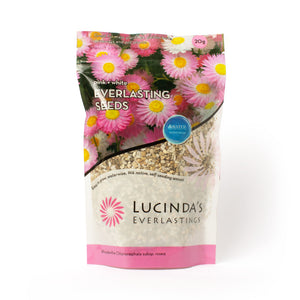 Lucinda Everlasting Seeds 20g